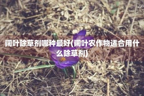 阔叶除草剂哪种最好(阔叶农作物适合用什么除草剂)