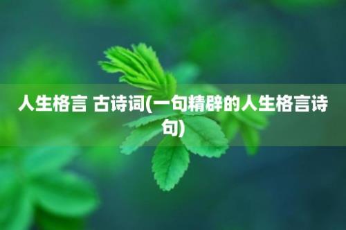 人生格言 古诗词(一句精辟的人生格言诗句)