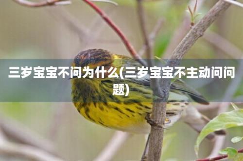 三岁宝宝不问为什么(三岁宝宝不主动问问题)