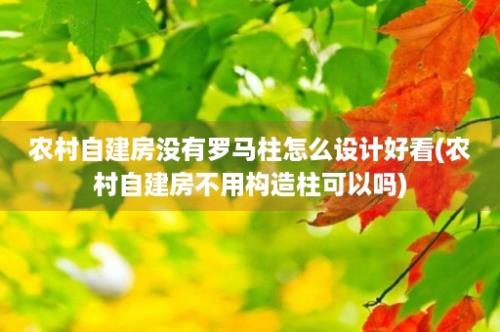 农村自建房没有罗马柱怎么设计好看(农村自建房不用构造柱可以吗)