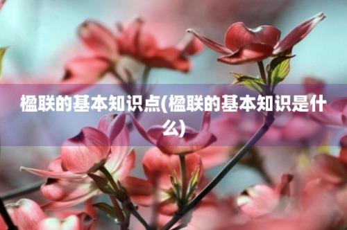 楹联的基本知识点(楹联的基本知识是什么)