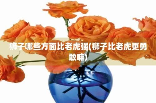 狮子哪些方面比老虎强(狮子比老虎更勇敢嘛)