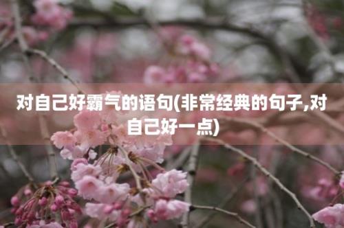 对自己好霸气的语句(非常经典的句子,对自己好一点)