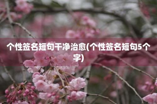 个性签名短句干净治愈(个性签名短句5个字)