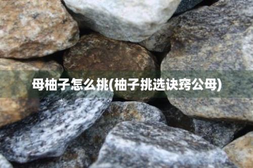 母柚子怎么挑(柚子挑选诀窍公母)