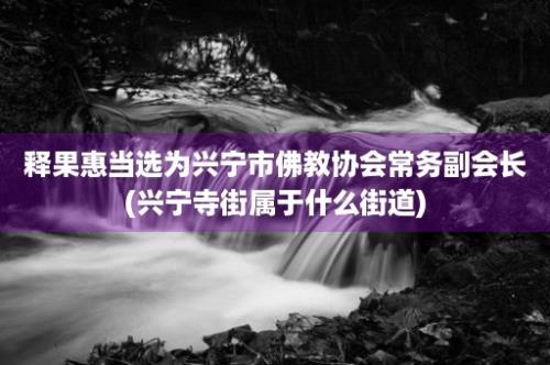 释果惠当选为兴宁市佛教协会常务副会长(兴宁寺街属于什么街道)