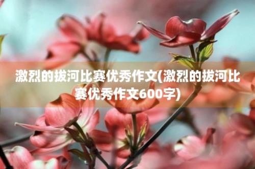 激烈的拔河比赛优秀作文(激烈的拔河比赛优秀作文600字)