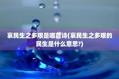 哀民生之多艰是哪首诗(哀民生之多艰的民生是什么意思?)