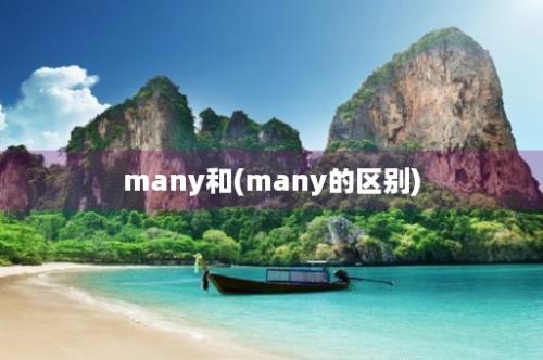 many和(many的区别)