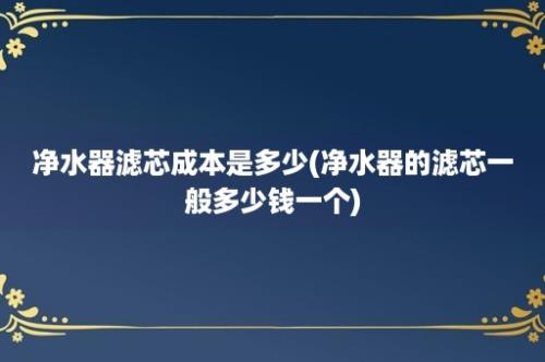 净水器滤芯成本是多少(净水器的滤芯一般多少钱一个)