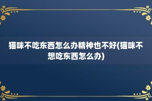 猫咪不吃东西怎么办精神也不好(猫咪不想吃东西怎么办)