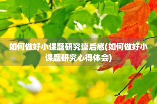 如何做好小课题研究读后感(如何做好小课题研究心得体会)