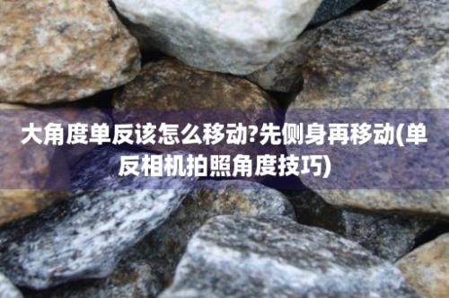 大角度单反该怎么移动?先侧身再移动(单反相机拍照角度技巧)