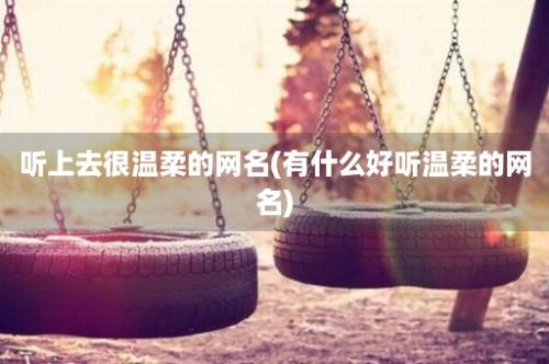 听上去很温柔的网名(有什么好听温柔的网名)