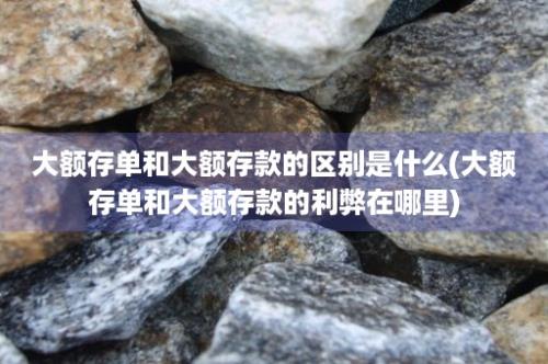 大额存单和大额存款的区别是什么(大额存单和大额存款的利弊在哪里)