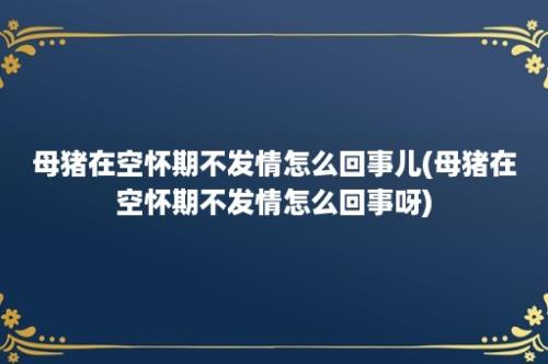 母猪在空怀期不发情怎么回事儿(母猪在空怀期不发情怎么回事呀)