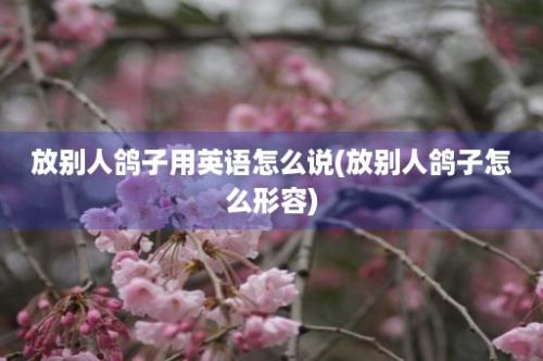 放别人鸽子用英语怎么说(放别人鸽子怎么形容)