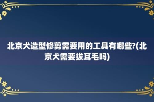 北京犬造型修剪需要用的工具有哪些?(北京犬需要拔耳毛吗)