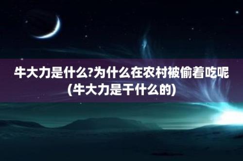 牛大力是什么?为什么在农村被偷着吃呢(牛大力是干什么的)