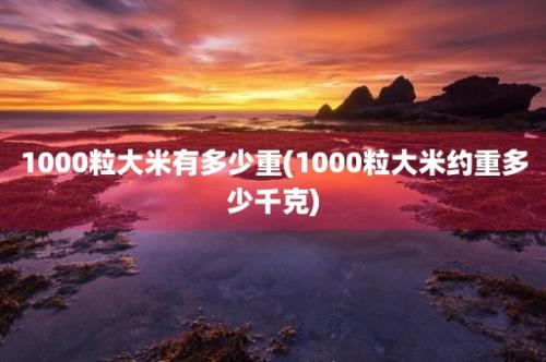 1000粒大米有多少重(1000粒大米约重多少千克)