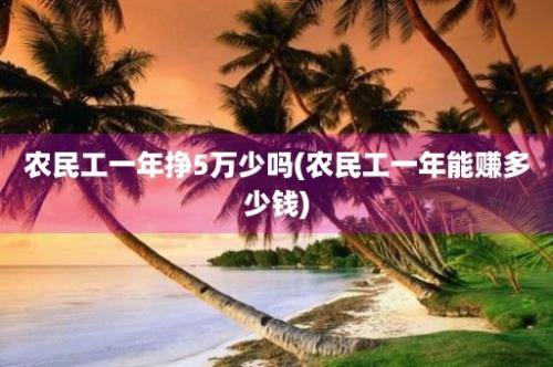 农民工一年挣5万少吗(农民工一年能赚多少钱)