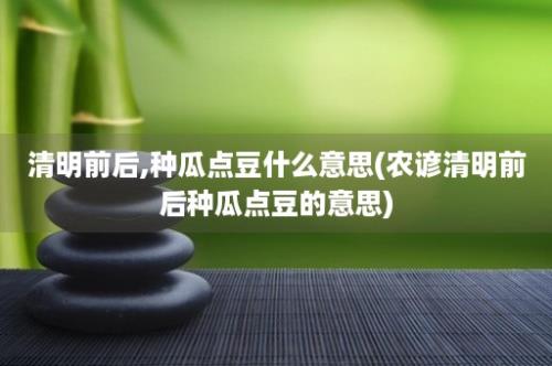 清明前后,种瓜点豆什么意思(农谚清明前后种瓜点豆的意思)