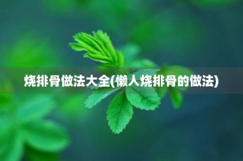 烧排骨做法大全(懒人烧排骨的做法)