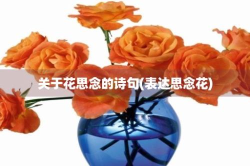 关于花思念的诗句(表达思念花)