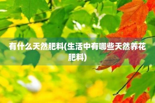 有什么天然肥料(生活中有哪些天然养花肥料)