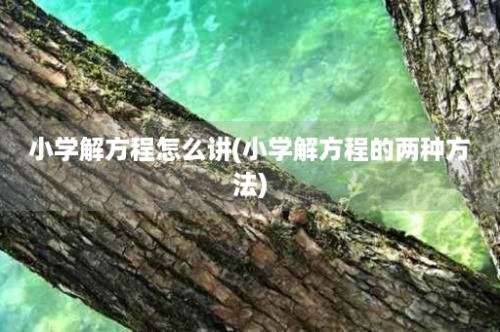 小学解方程怎么讲(小学解方程的两种方法)