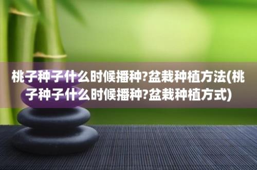 桃子种子什么时候播种?盆栽种植方法(桃子种子什么时候播种?盆栽种植方式)