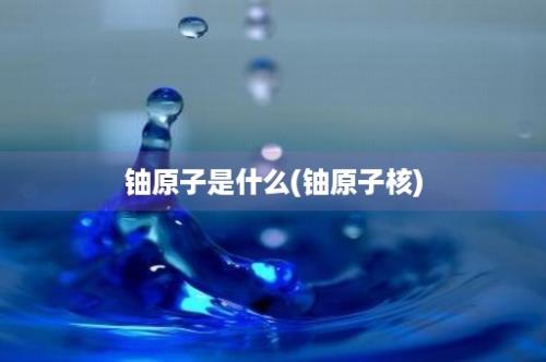 铀原子是什么(铀原子核)