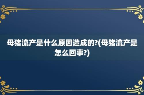 母猪流产是什么原因造成的?(母猪流产是怎么回事?)