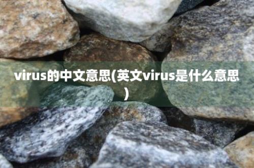 virus的中文意思(英文virus是什么意思)