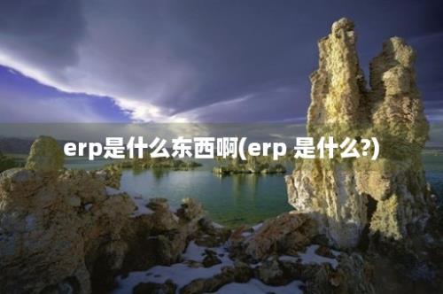 erp是什么东西啊(erp 是什么?)