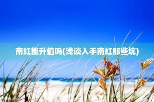 南红能升值吗(浅谈入手南红那些坑)