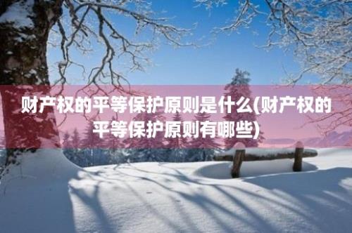 财产权的平等保护原则是什么(财产权的平等保护原则有哪些)