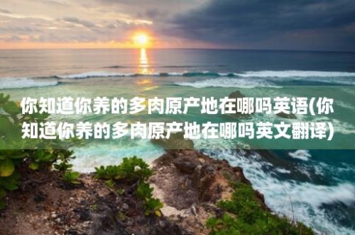 你知道你养的多肉原产地在哪吗英语(你知道你养的多肉原产地在哪吗英文翻译)