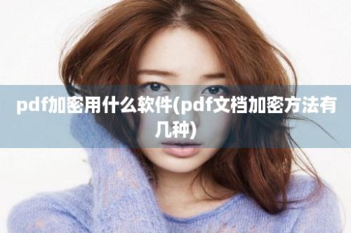 pdf加密用什么软件(pdf文档加密方法有几种)