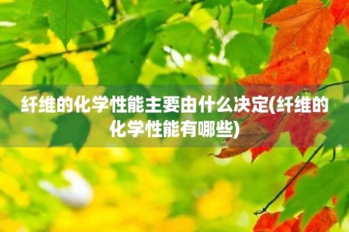 纤维的化学性能主要由什么决定(纤维的化学性能有哪些)