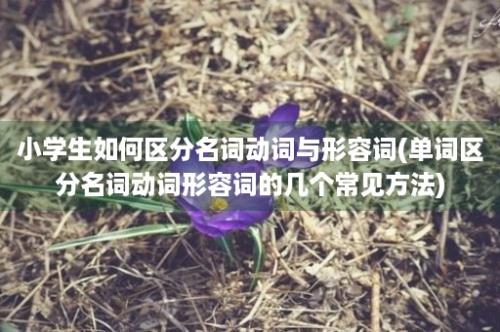 小学生如何区分名词动词与形容词(单词区分名词动词形容词的几个常见方法)