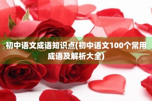 初中语文成语知识点(初中语文100个常用成语及解析大全)