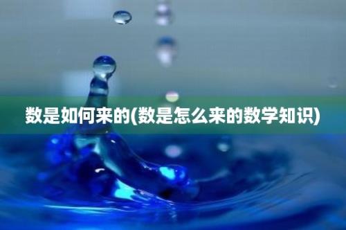 数是如何来的(数是怎么来的数学知识)