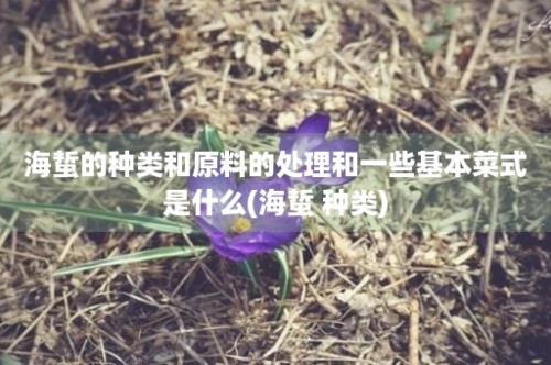 海蜇的种类和原料的处理和一些基本菜式是什么(海蜇 种类)