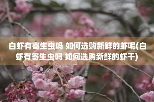 白虾有寄生虫吗 如何选购新鲜的虾呢(白虾有寄生虫吗 如何选购新鲜的虾干)