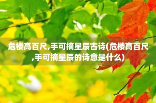 危楼高百尺,手可摘星辰古诗(危楼高百尺,手可摘星辰的诗意是什么)