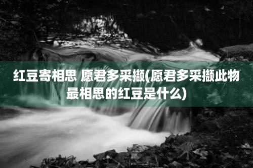 红豆寄相思 愿君多采撷(愿君多采撷此物最相思的红豆是什么)