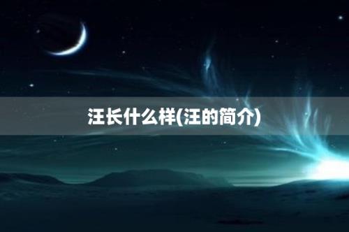 汪长什么样(汪的简介)