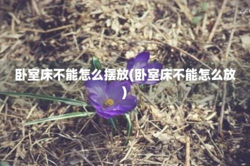 卧室床不能怎么摆放(卧室床不能怎么放)