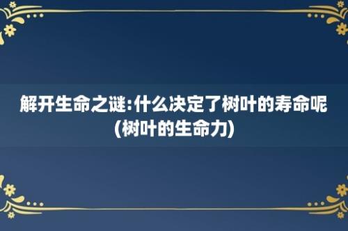 解开生命之谜:什么决定了树叶的寿命呢(树叶的生命力)